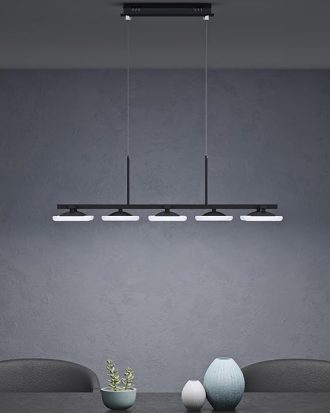 Pakabinamas šviestuvas - Penrith PR3377